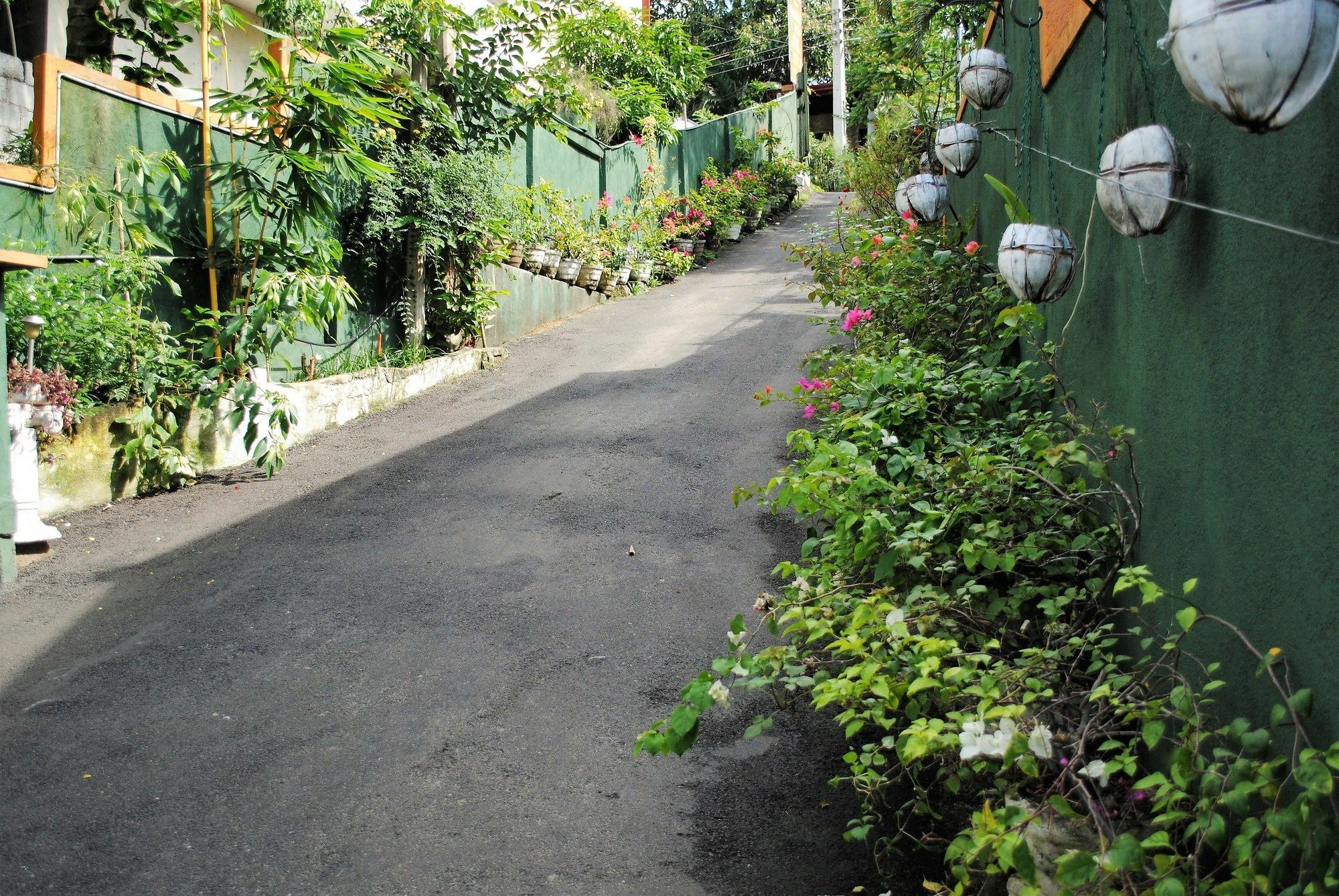 Evening Star Guest Inn Kandy Exterior foto